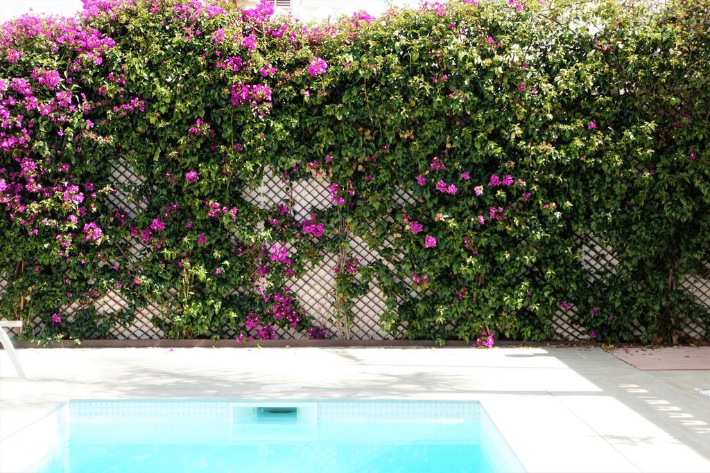 Vakantiehuis Casa Molinar Palma de Mallorca